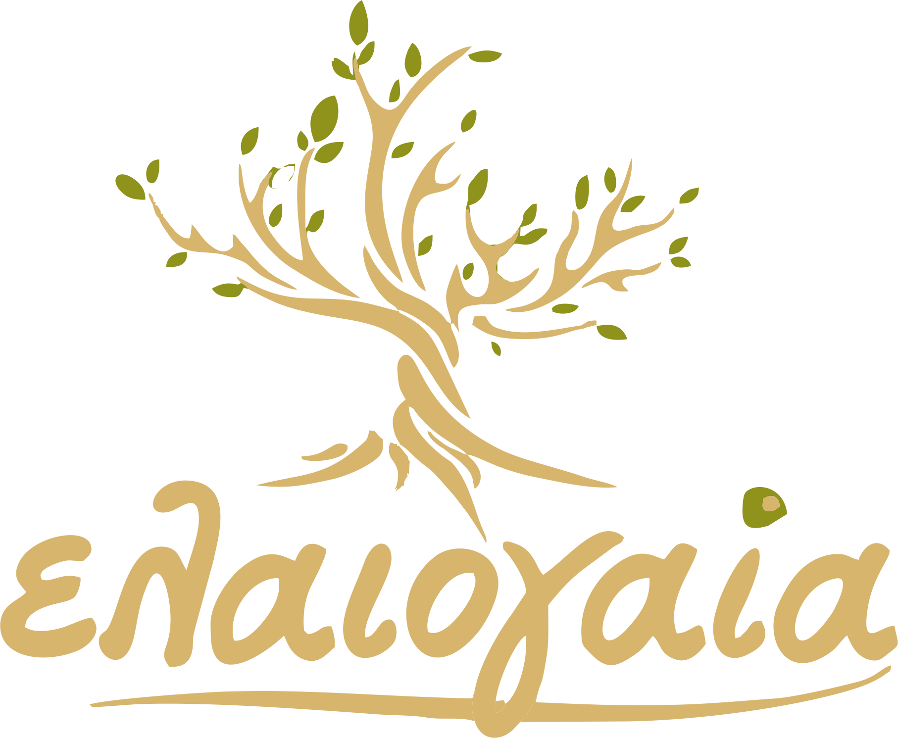 Elaio Gaia – Premium Olive Products